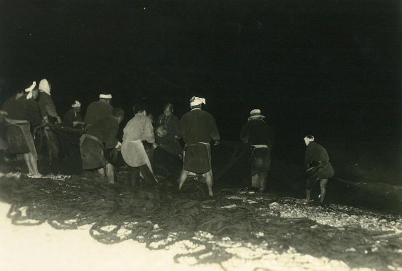 漁師たちが海岸でホタルイカの地曳網を引っ張っている写真