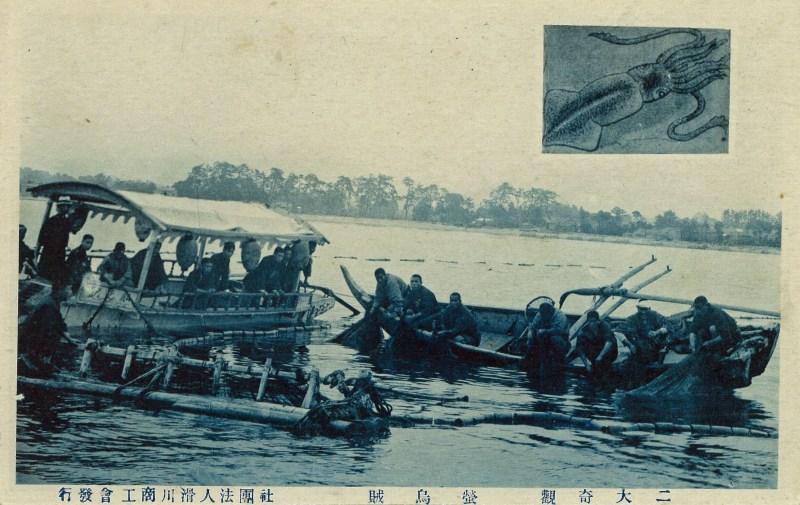 大正〜昭和頃のほたるいか観光の様子を写した写真