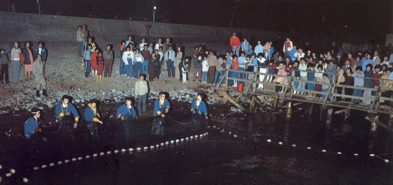 地曳網を引き漁をしている様子を浜に設置された桟橋から観光している観光客たちの写真