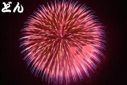 ピンクと薄紫色が使われている大きな打ち上げ花火の写真