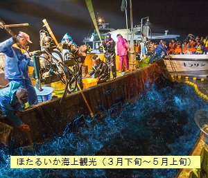 海上観光