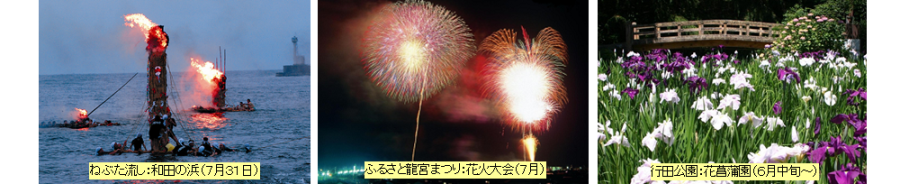 見どころ