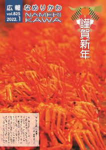 水揚げされ滑川漁港にズラリと並んだ富山県産ブランドベニズワイガニ「こしのあかガニ」を接写してとらえた写真