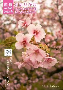 スポーツ・健康の森公園の桜
