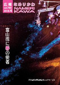 滑川春網定置漁業組合のホタルイカ漁の様子をとらえた写真