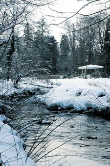 雪に覆われた行田公園の写真