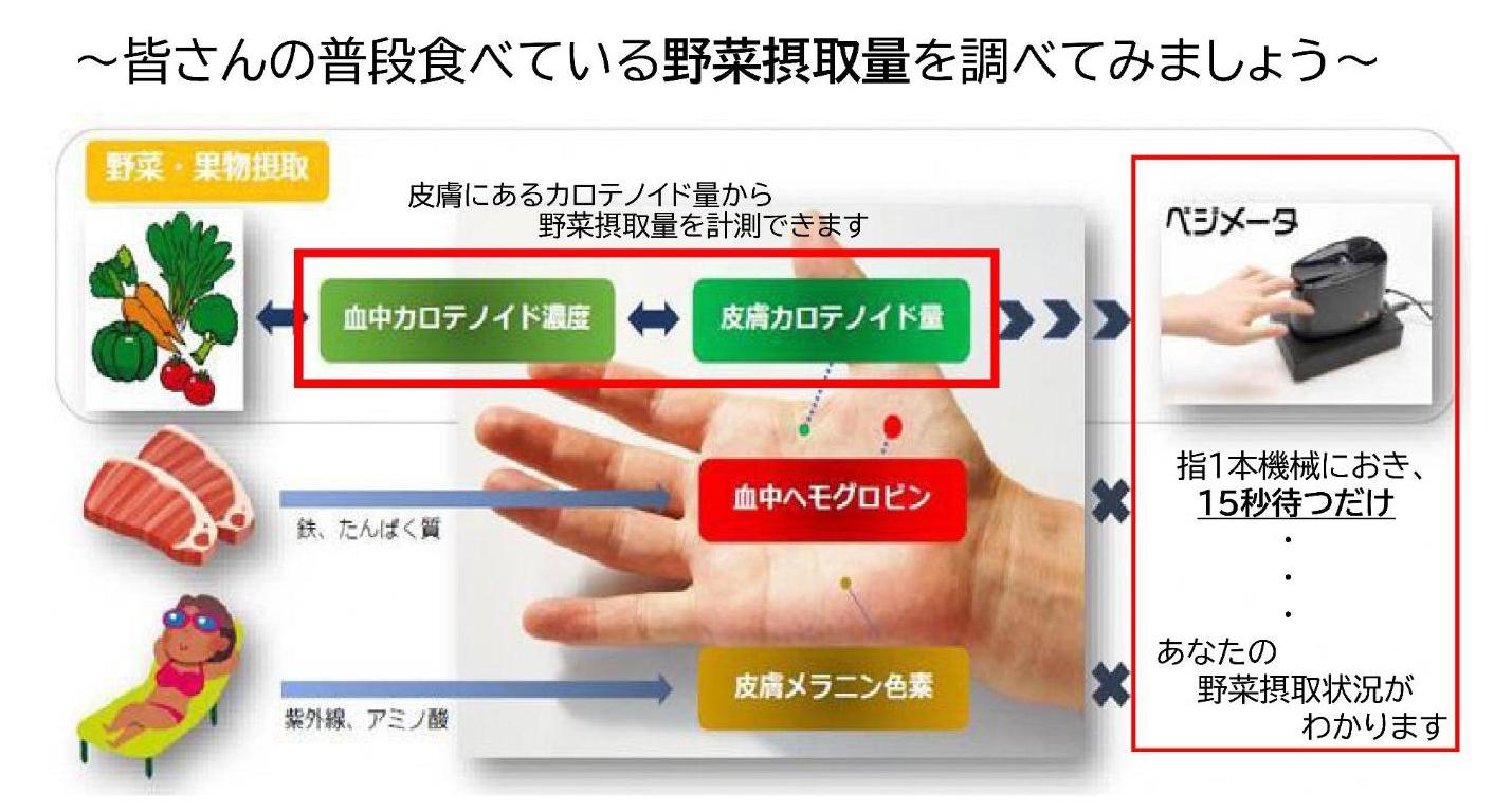 ベジメータ