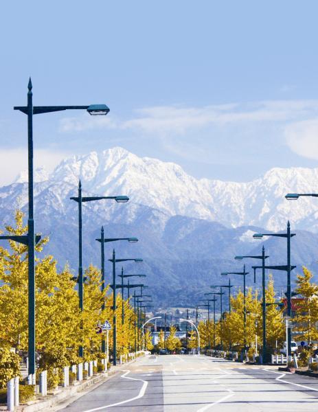 手前には道路を挟み紅葉の街路樹が連なり、奥には青空の下、雪化粧をした立山連峰の写真