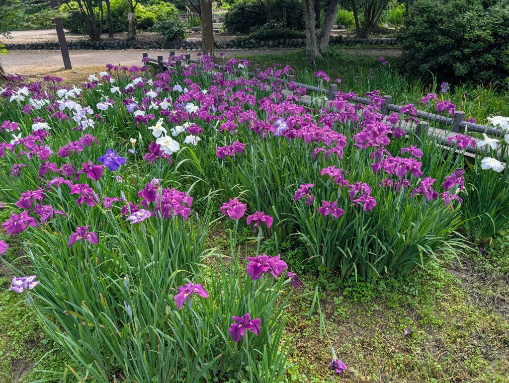 西菖蒲園