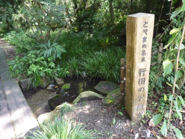 行田の沢清水の湧き水の写真