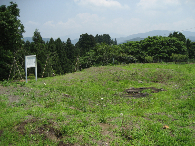 広々とした草地の奥に白い案内板が立っている千鳥遺跡の写真