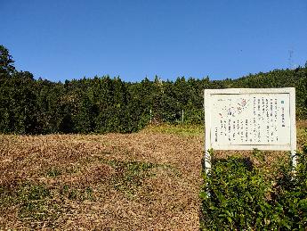 奥には林が見え、手前には草地が見え白い案内版が立っている東福寺焼窯跡の写真