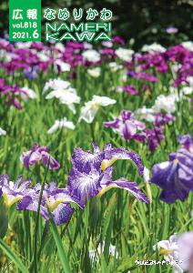 見ごろを迎えて紫色の花をつけた行田公園のハナショウブをとらえた写真