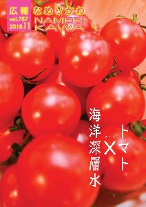 真っ赤に実って収穫された海洋深層水トマトの写真