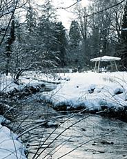 雪に覆われた行田公園の写真